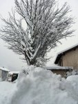 Schnee_1.jpg