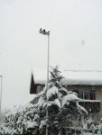 Schnee_2.jpg