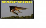 Wasp Wing twin engine (02).jpg